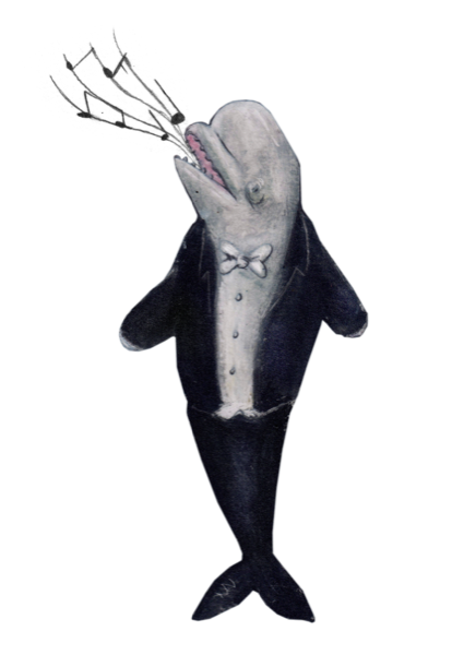 Music — all platforms